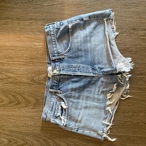 Agolde Parker Vintage Cutoff Shorts